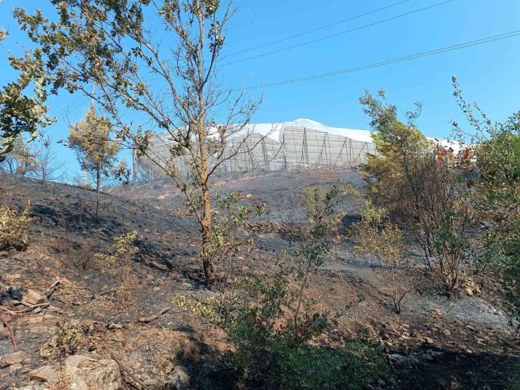 Alanya’da makilik alanda çıkan yangın kısa sürede kontrol altına alındı