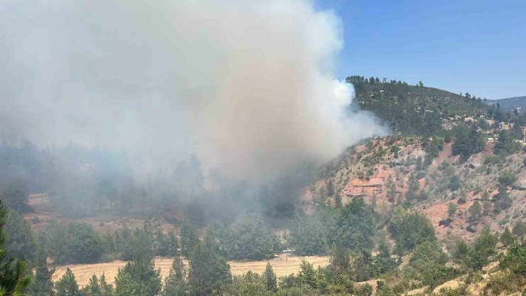 Denizli’deki orman yangını kısmen kontrol altına alındı