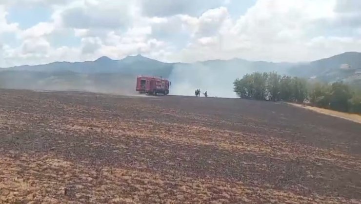 Kartalın elektrik tellerine çarpmasıyla başlayan yangın büyümeden söndürüldü