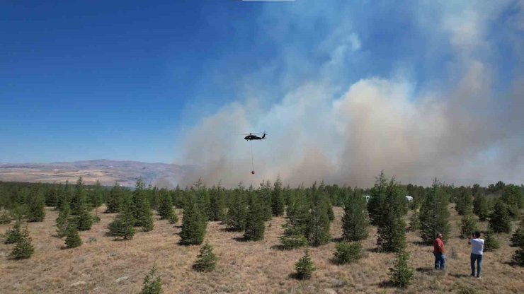 ODTÜ Ormanı’ndaki yangının tahribatı havadan görüntülendi
