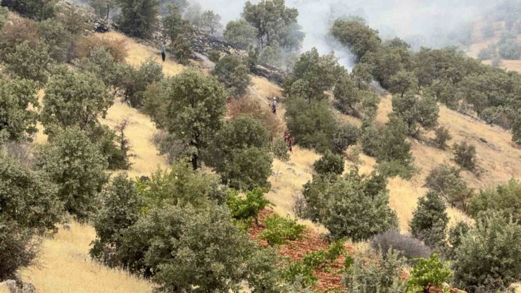 Batman’da örtü ve orman yangında bin dönüm alan zarar gördü