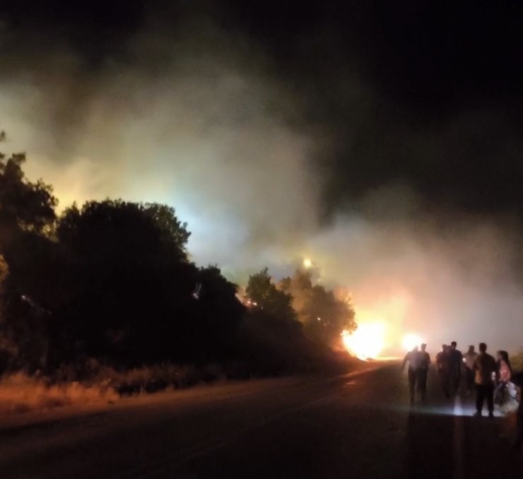 Hakkari-Çukurca karayolu üzerinde orman yangını çıktı