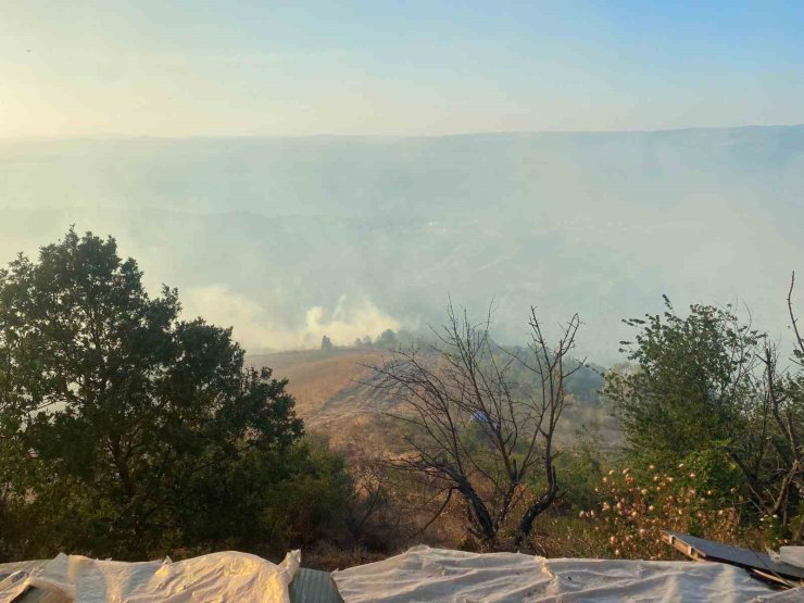 Kocaeli’nin farklı noktalarında aynı anda çıkan yangınlara müdahale sürüyor