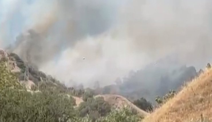 Efeler’de zirai alan yangını