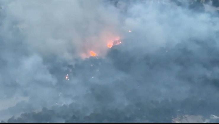 Diyarbakır’da ziraat arazisinde başlayıp ormanlık alana sıçrayan yangın 10 saat sonra söndürüldü