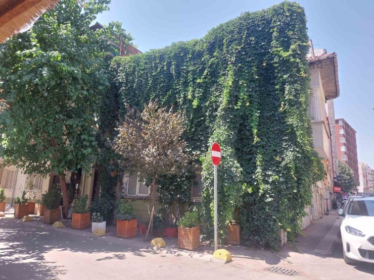 Eskişehir’de doğa, evle bütünleşti