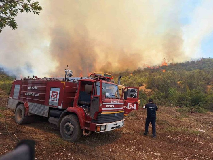 Orman yangınlarında var gücüyle çalışan itfaiyeciler hayvanlara da büyük şefkat gösteriyor