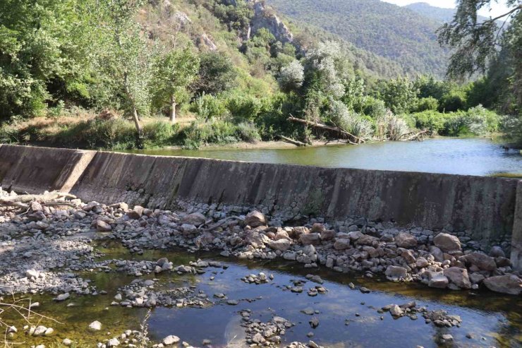 Kuraklık ve orman yangınları Düzmeşe Benti’nin adeta kuruttu