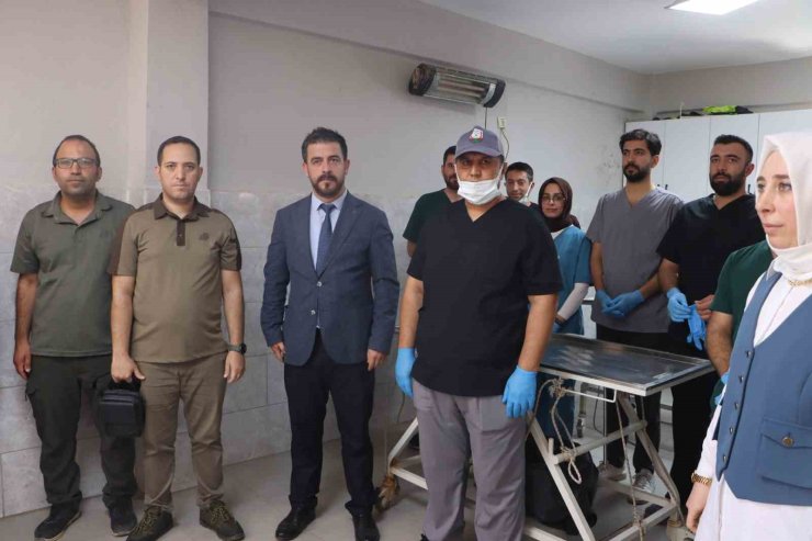 Şanlıurfa’da sokak hayvanları için doğal yaşam alanı ve kısırlaştırma seferberliği başlıyor