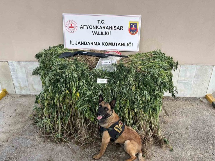 Jandarmadan uyuşturucu operasyonu: 2 gözaltı