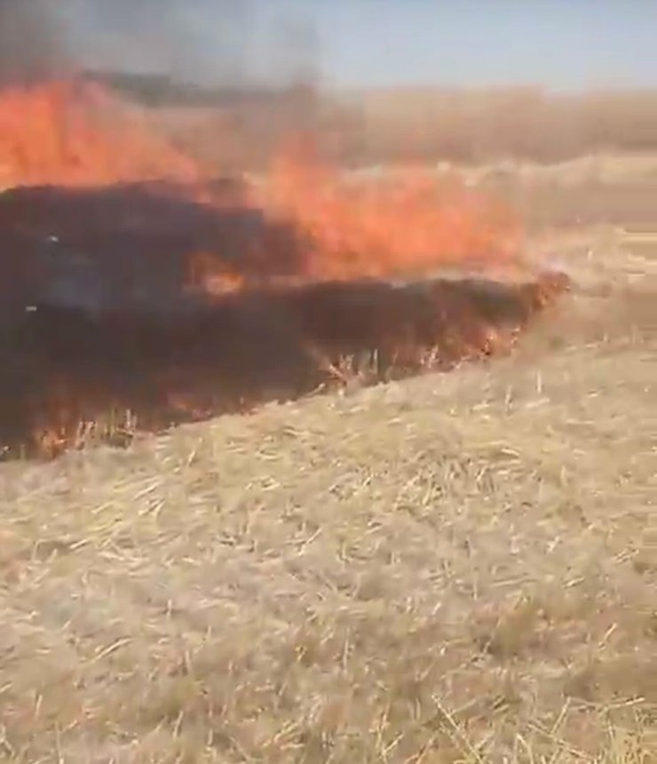 Ankara’da anız yangını