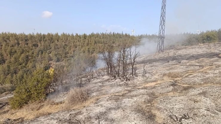 Belen’de ormanlık alanda yangın çıktı