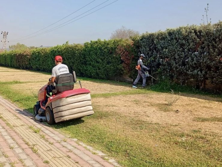 Körfez’de yeşil alanlarda bakım ve çim biçme çalışması