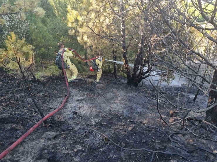 Kütahyalı öğrenciler yangınlarla mücadelede görev başında