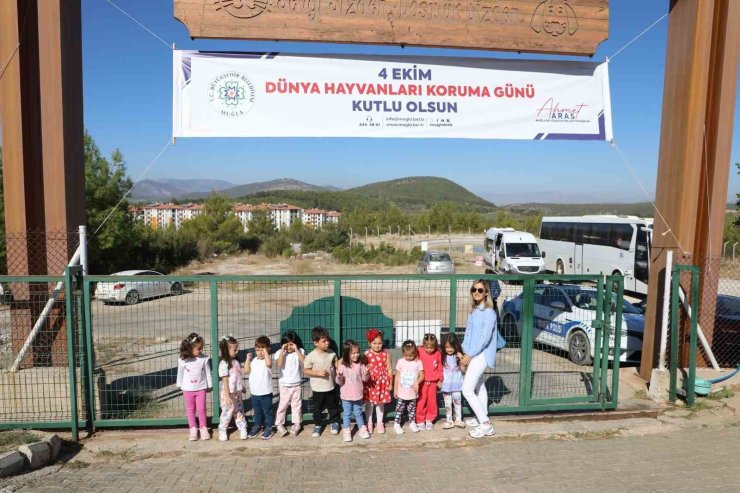 Büyükşehir Geçici Hayvan Bakımevi’nden 3 bin 779 can dosta yeni yuva