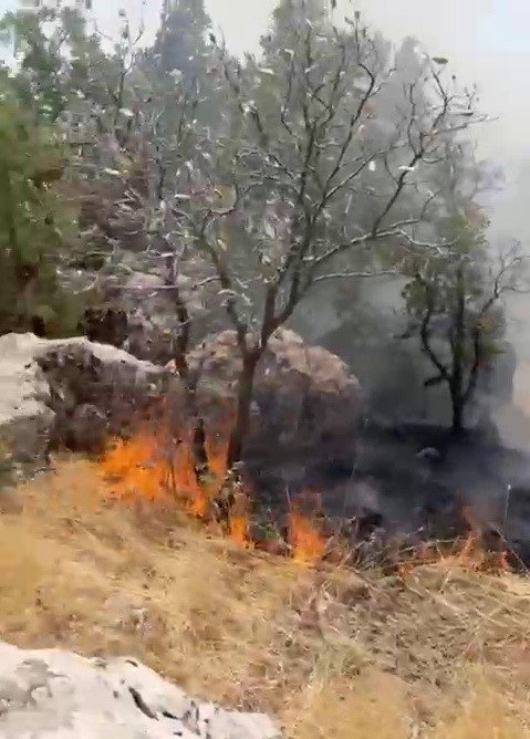 Ormanlık alanda çıkan yangın söndürüldü