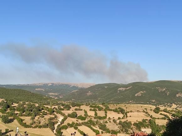 Afyonkarahisar’da orman yangını