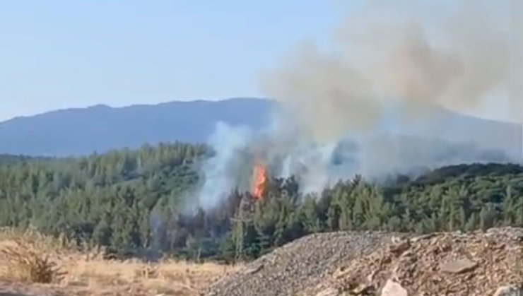 Tavas’taki orman yangını kontrol altına alındı