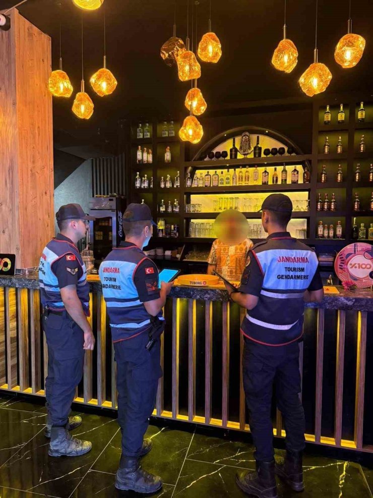 Didim ve Sultanhisar’da 404 şahıs, 101 araç sorgulandı