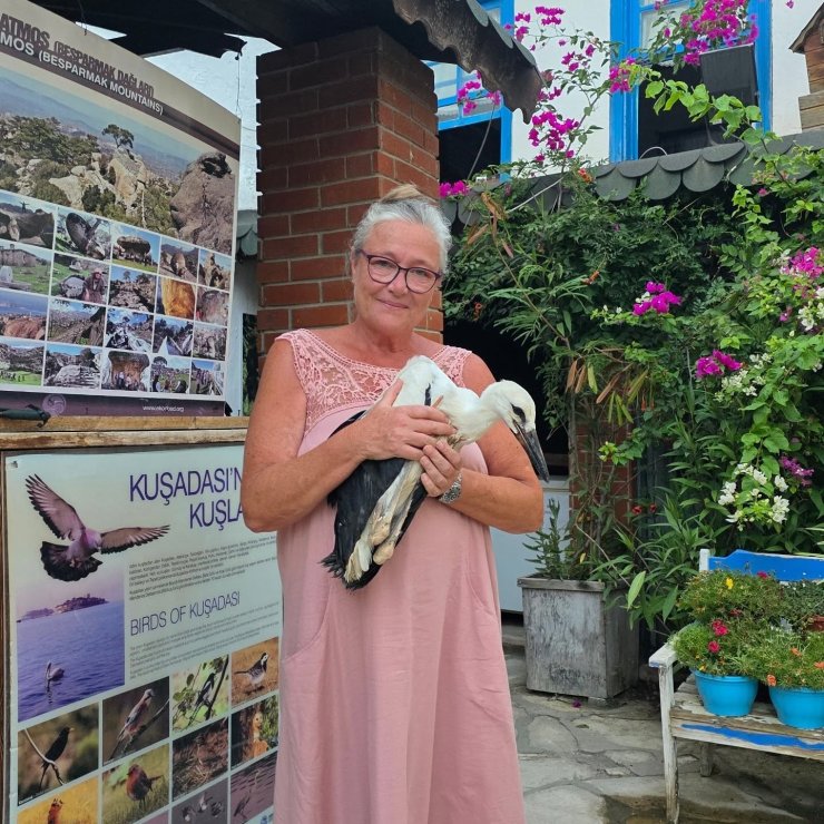 Yavru Leylek EKODOSD’da bakıma alındı, göç için hazırlanıyor