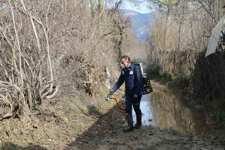 Muğla Büyükşehir’den 13 ilçede vektörle mücadele