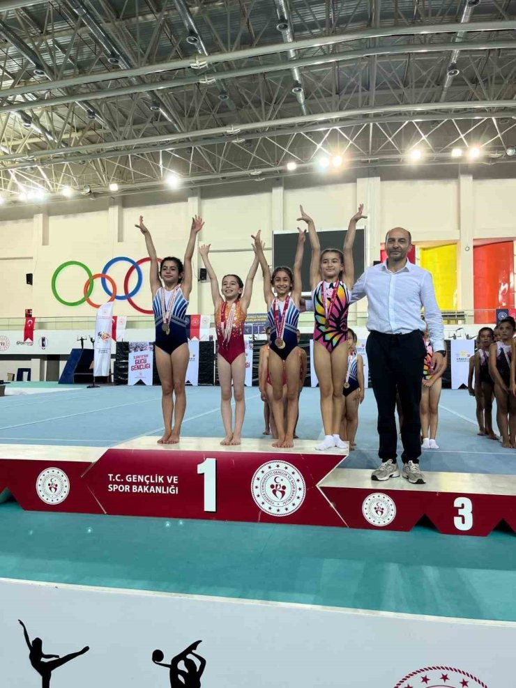 Kayserili jimnastikçilerTürkiye finalinde