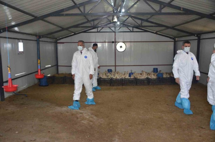 Bulanık’ta "Kaz Yetiştiriciliği" projesi kapanış programı gerçekleştirildi