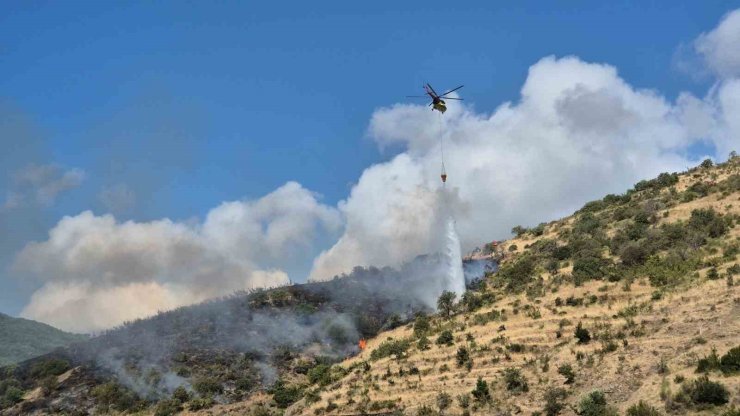 Tekirdağ Şarköy’de makilik alanda çıkan yangına müdahale ediliyor