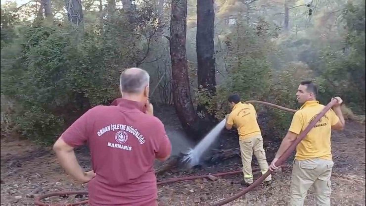 Yıldırım yangını söndürüldü