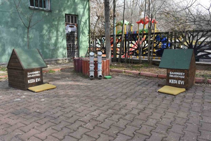 Başkan Tahmazoğlu: "Sıcak havalar hayvanları da olumsuz etkiliyor"