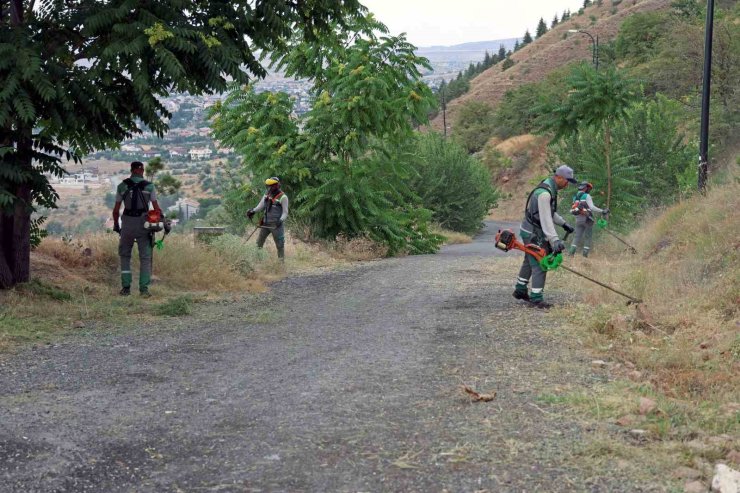 Ali Dağı’nda yangına karşı üst düzey önlem