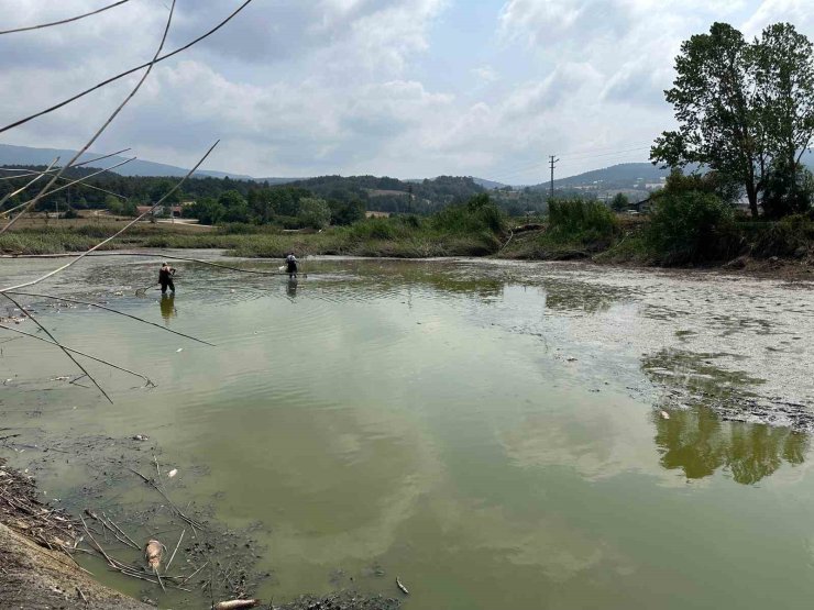 Gölette can çekişen onlarca balık kurtarıldı