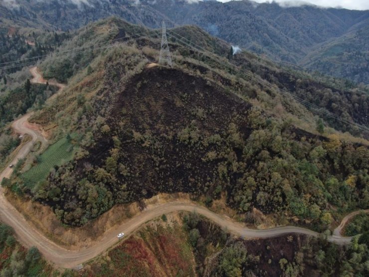 Doç. Dr. Kadir Alperen Coşkuner, "Doğu Karadeniz çok yağış alır, bu nedenle yangın olmaz şeklinde bir inanış vardır ancak bu doğru değildir"