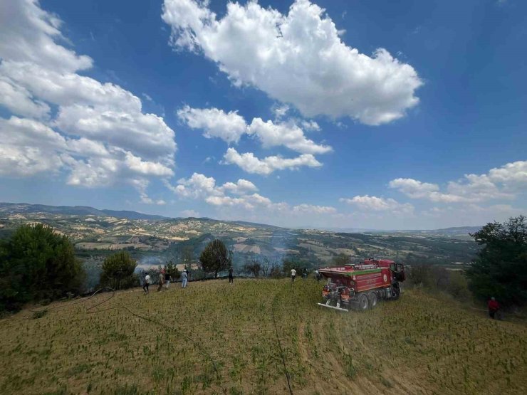 Tütün tarlasına çekilen seyyar elektrik kablosu yangına neden oldu