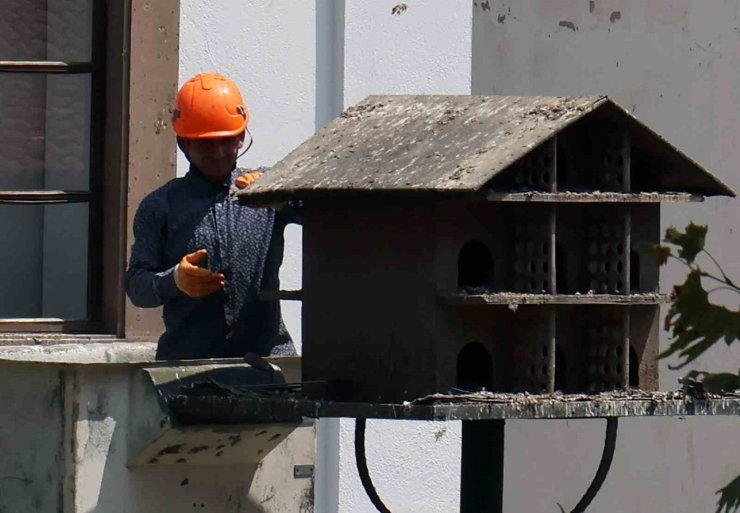 Menteşe’de güvercin yuvalarında temizlik yapıldı