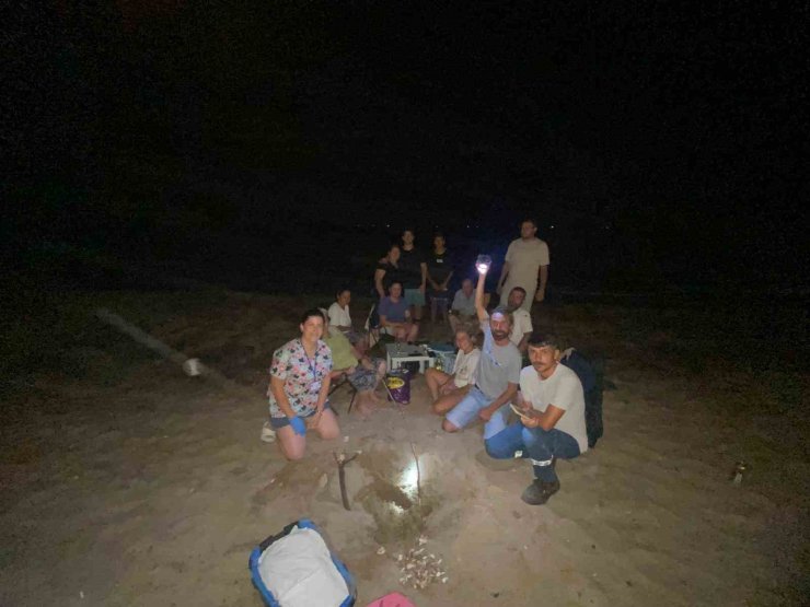 Didim’de 47 yavru caretta caretta denize ulaştı