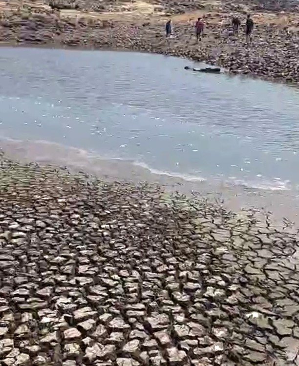 Siverek’teki gölette sular çekildi, balıklar telef oldu