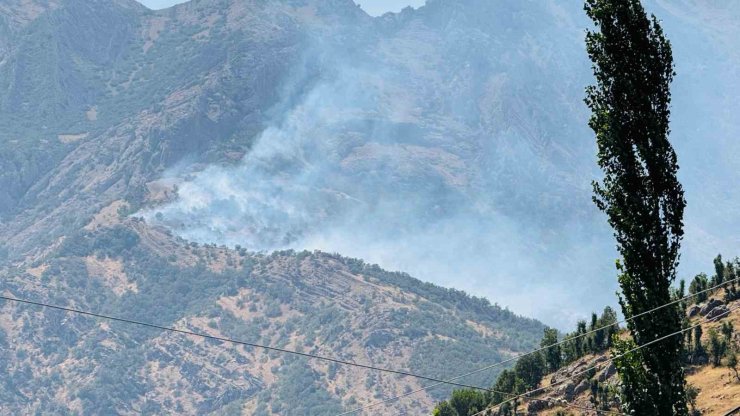 Şırnak’ta orman yangını: Alevler kontrol altına alınamıyor