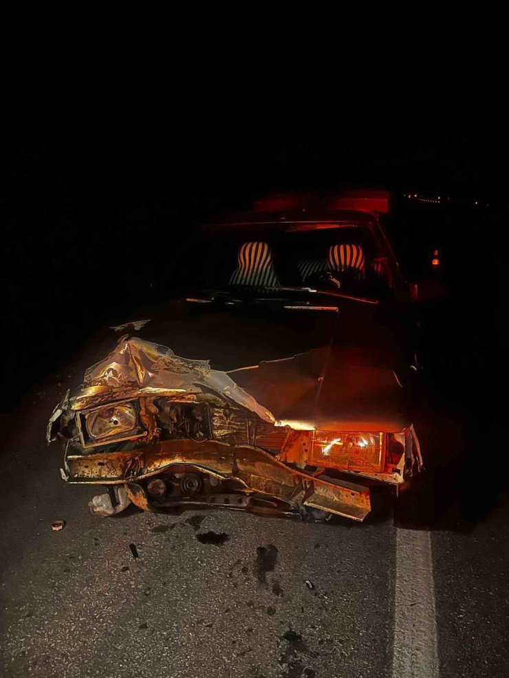 Otomobilin çarptığı domuz telef oldu