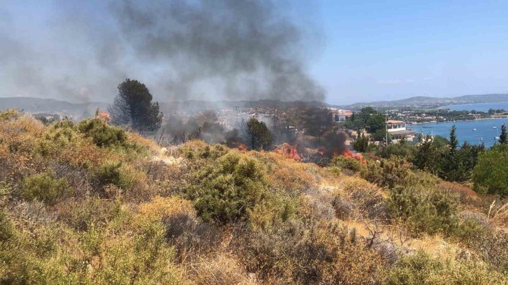 Datça’da makilik yangını kontrol altına alındı