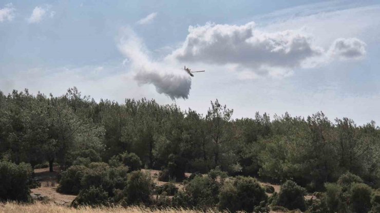 Edirne’de çıkan yangın ormanlık alana sıçradı: Havadan ve karadan müdahale ediliyor