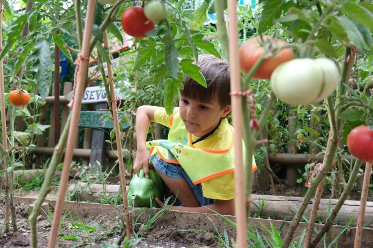 Lokomotif Çocuk Köyü’nde hasat zamanı