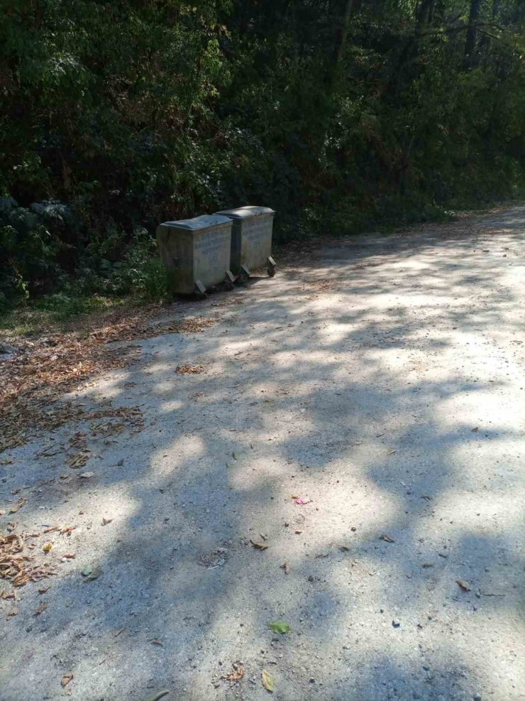 Şeker Kanyonu’ndaki çevre kirliliği giderildi