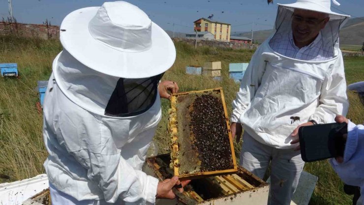 Vali Çiçek, ilk bal sağımını gerçekleştirdi
