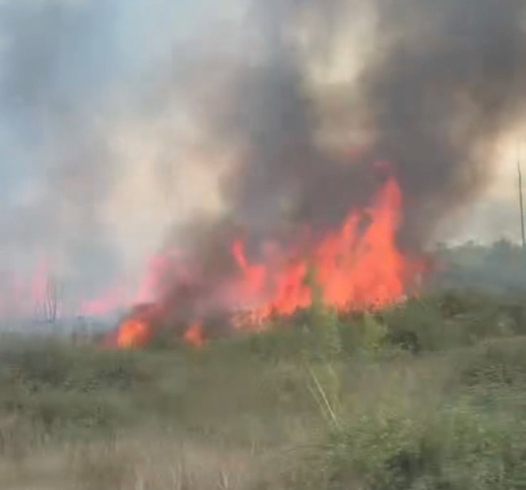 Düzce’de yol kenarındaki yangın güçlükle söndürüldü