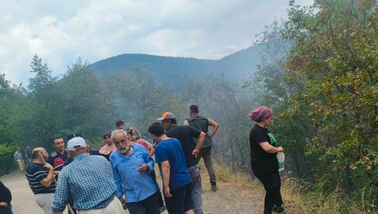 Çatalzeytin’de çıkan orman yangını kontrol altına alındı