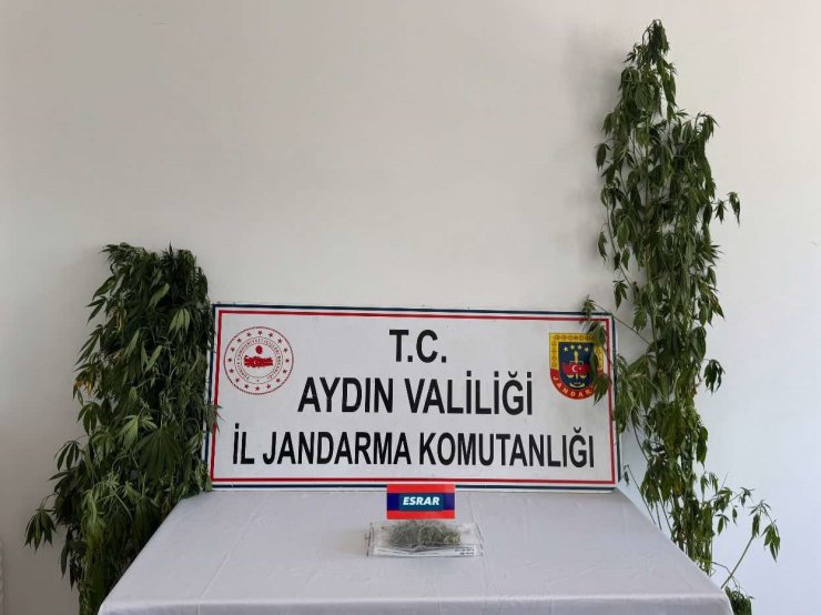 Aydın’da uyuşturucu operasyonu: 13 şüpheli yakalandı