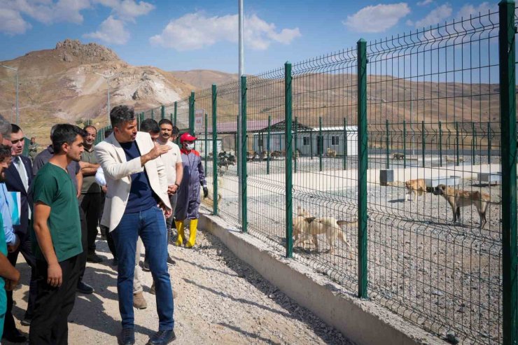 Vali Çelik: "Sokak hayvanları için güvenli, sağlıklı yaşam alanları oluşturuyoruz"