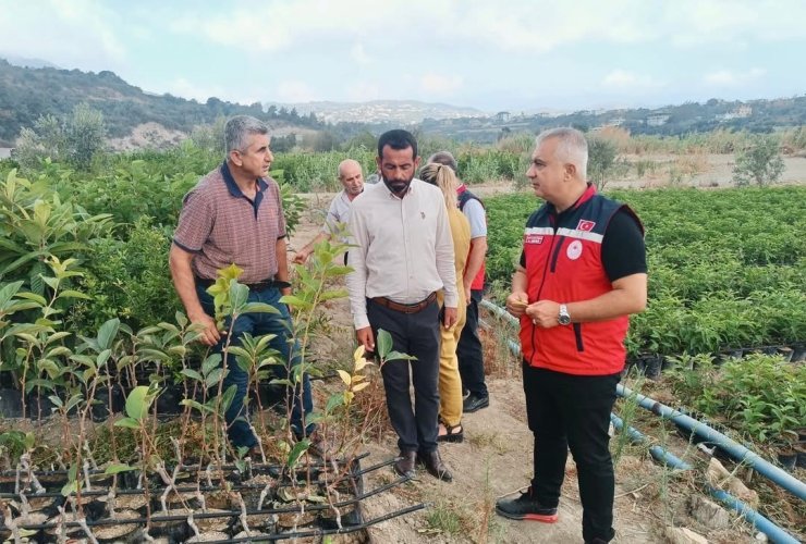 İl Tarım Müdürü Türkmen, fidan üretim sahalarını inceledi