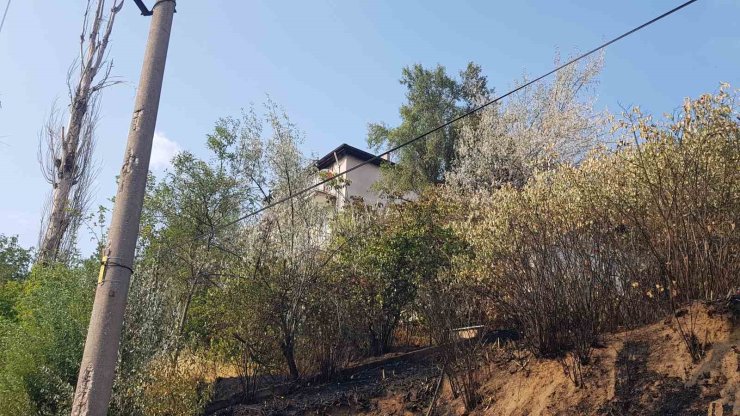 Otluk alanda çıkan yangın evlere sıçramadan söndürüldü